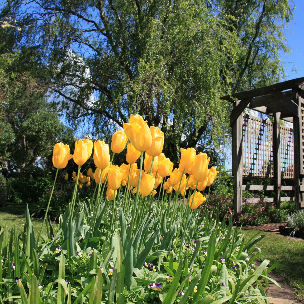 Gardens of Happiness: A Virtual Walk through Beautiful Landscapes