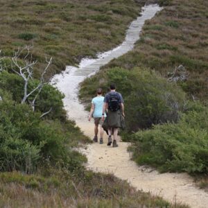 the-coastal-edge-a-virtual-adventure-trekking-experience