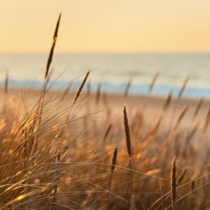 virtual-sunset-escape-to-stunning-coastal-scenery