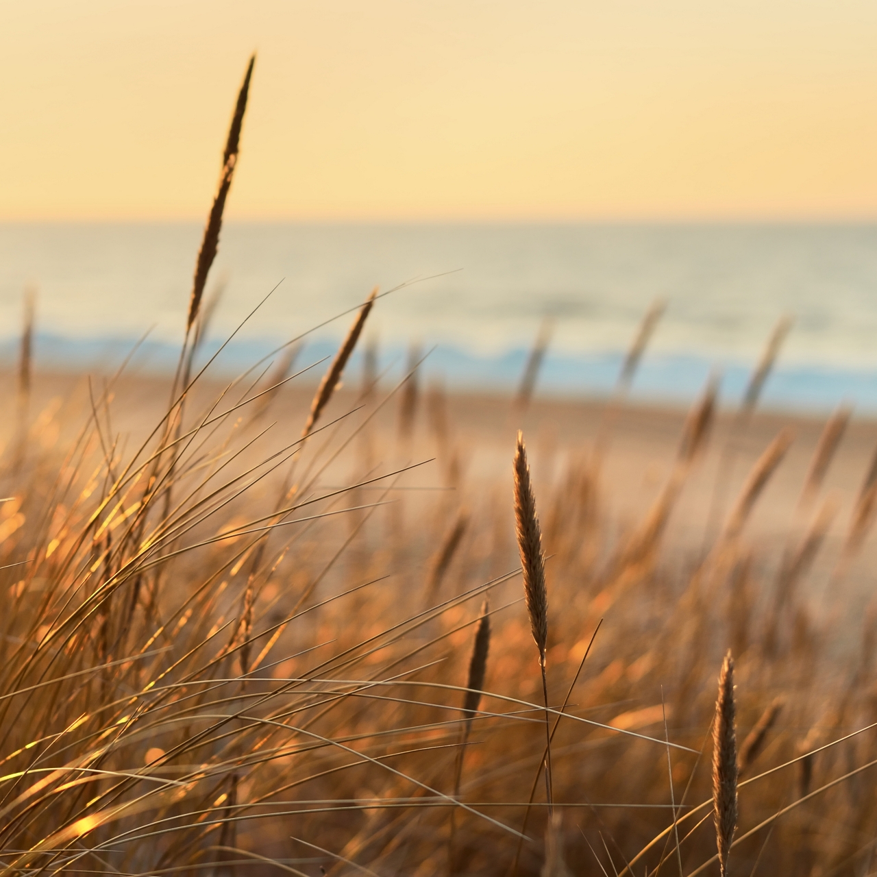 virtual-sunset-escape-to-stunning-coastal-scenery